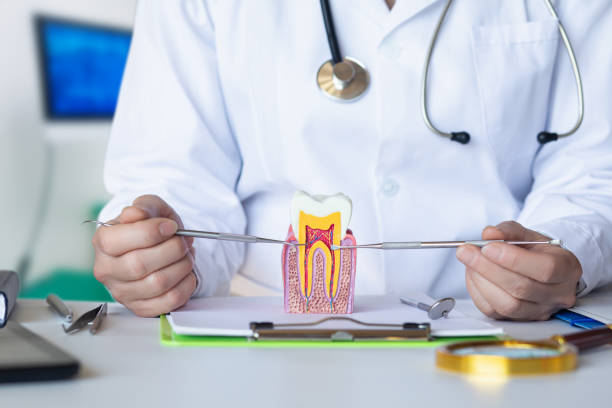 Best Same-Day Emergency Dental Services in Onarga, IL